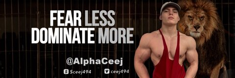 Header of alphaceej