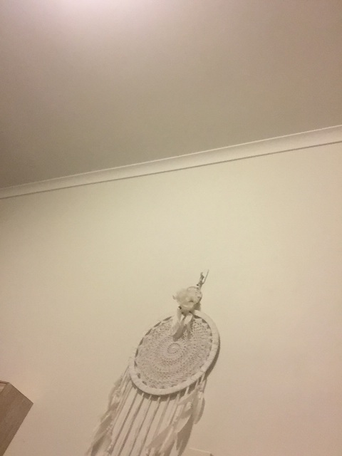 Header of angelbby666