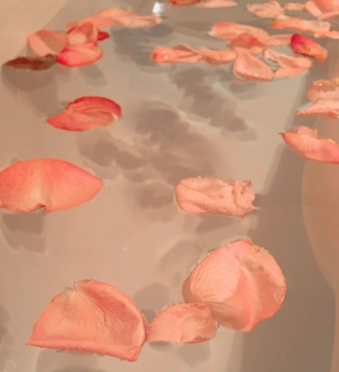 Header of angelskissess