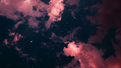 Header of babykittenmoon