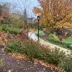 bigdicktrnrg (bigd*cktanrg) OnlyFans Leaks 

 profile picture