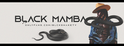 Header of blcksnaketv