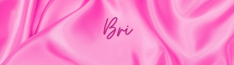 Header of bri1313