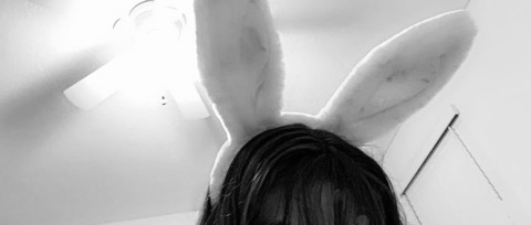 Header of bunny-me