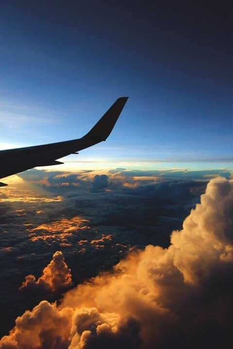 Header of carolbernardi