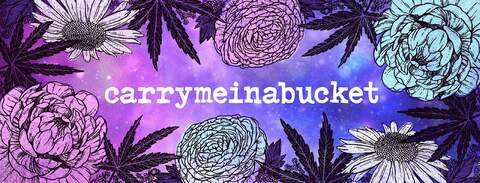 Header of carrymeinabucket