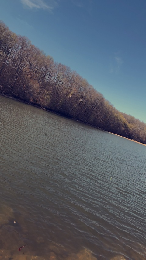 Header of couplesscontent