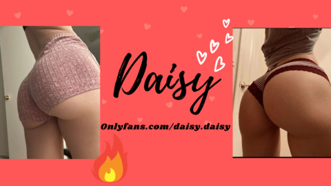 Header of daisy.daisy