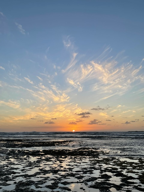 Header of eastsidemami