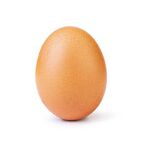 egg_slut OnlyFans Leaks 

 profile picture