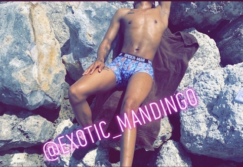 Header of exotic_mandingo