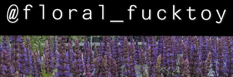 Header of floral_fucktoy