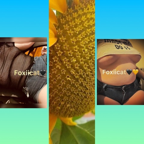 Header of foxiicat