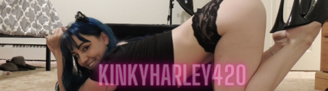 Header of freeharleymoon420