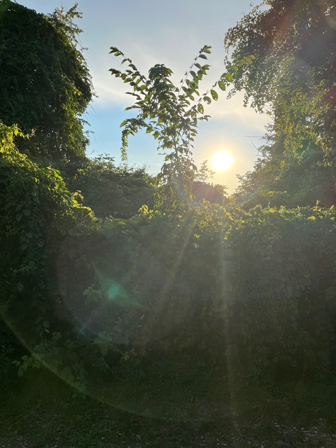 Header of freethetitties666