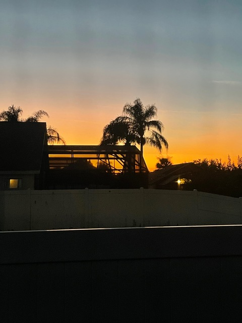 Header of gatorviking