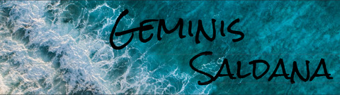 Header of geminis2014