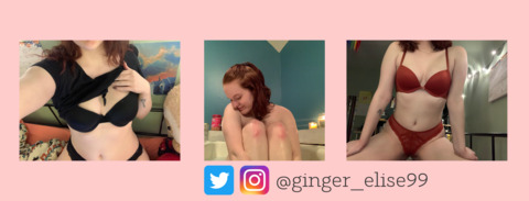 Header of ginger_elise