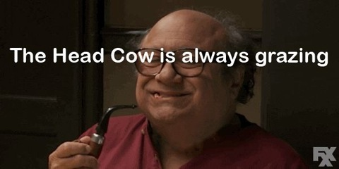 Header of head_cow