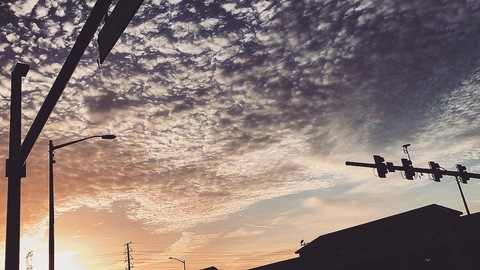 Header of idreamofgeno