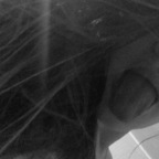 izabela OnlyFans Leaked Photos and Videos 

 profile picture