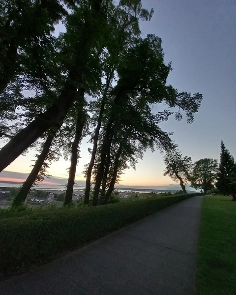 Header of jennarstraw