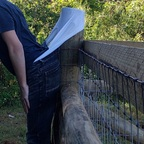 left2hang (Left2Hang) free OnlyFans content 

 profile picture