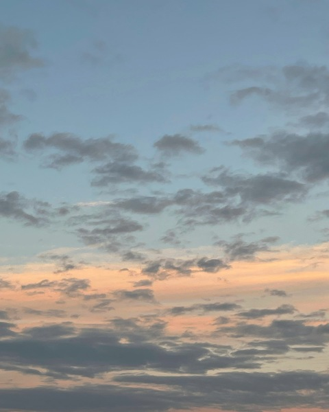 Header of louxcarter