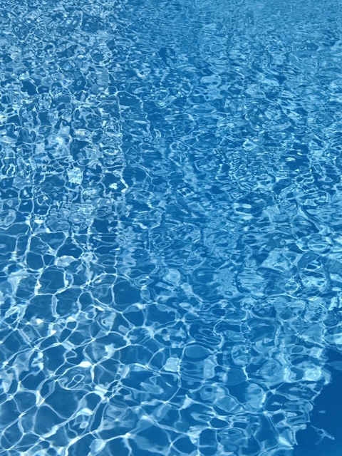 Header of ludovicothinboy00