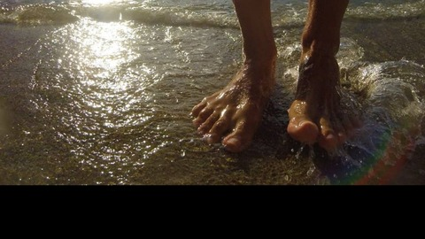 Header of markwhitefeet