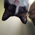 Download mewcute OnlyFans leaks for free 

 profile picture