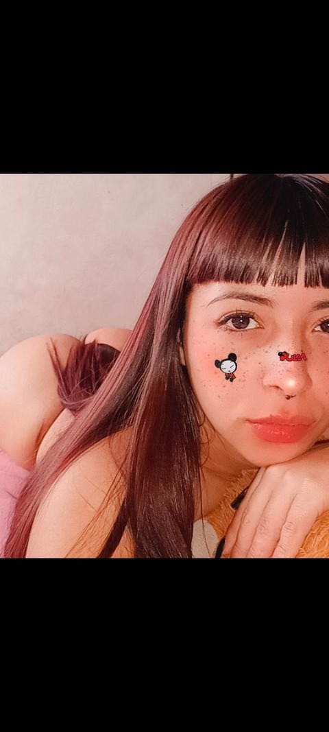 Header of mmagalivex