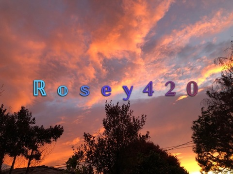 Header of mommyrosey420