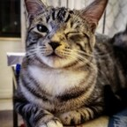 momocita OnlyFans Leak 

 profile picture