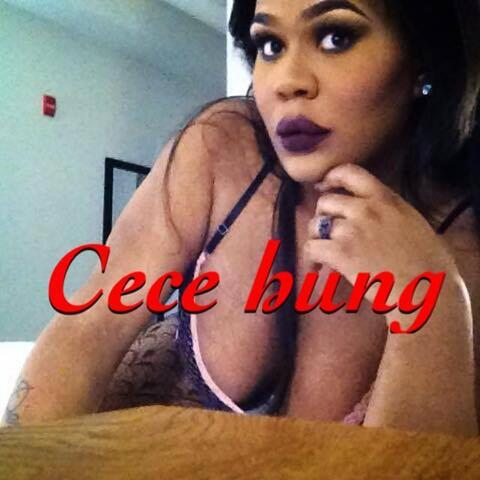 Header of mz_cece_hung