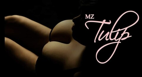 Header of mztulip