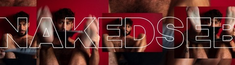 Header of nakedseb