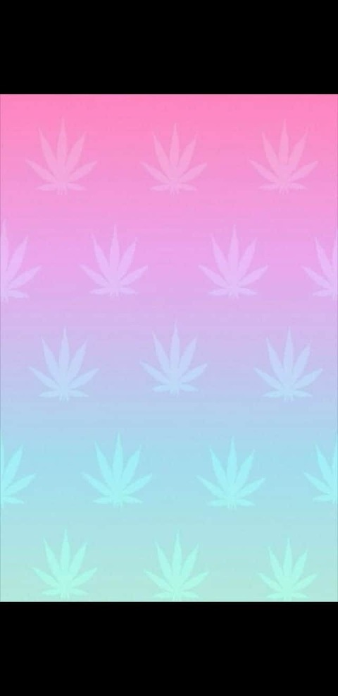 Header of native.420.kitten