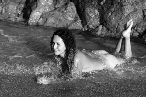 Header of nikkimontero