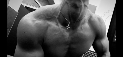 Header of nole_swole