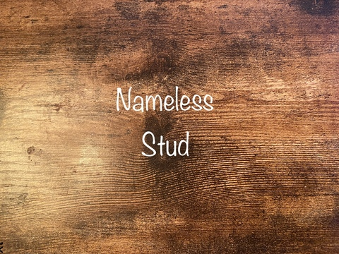 Header of nonamestud