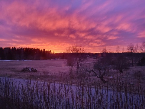 Header of oldgeezer79