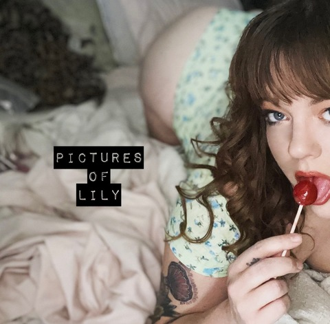 Header of picturesoflily