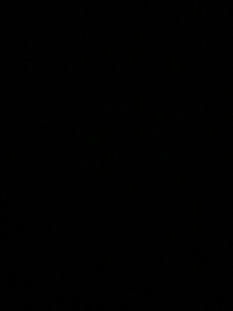 Header of piggyclara