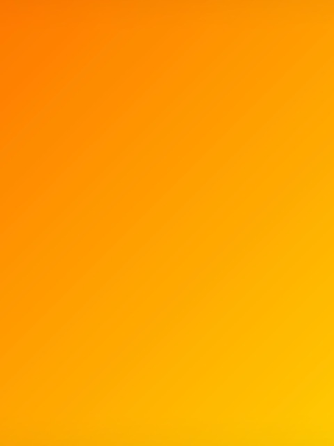 Header of princess.dior