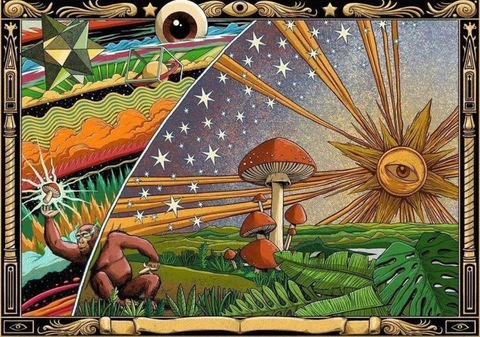 Header of psilocybin22