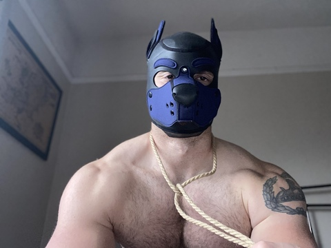 Header of puprocky95