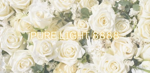 Header of pure_light_8888