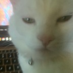 j pussy Leak OnlyFans 

 profile picture