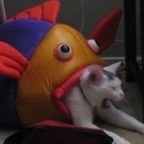 Free access to (riversmom) Leaked OnlyFans 

 profile picture